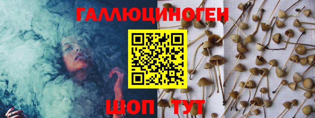 Майский  Галлюциногенные грибы GOLDEN TEACHER  купить наркотик  Вход с VPN 
